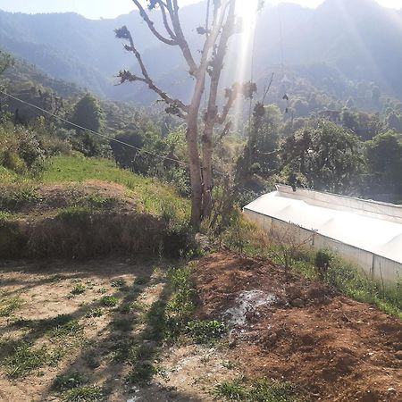 Parvatiya Homestay Mussoorie Buitenkant foto