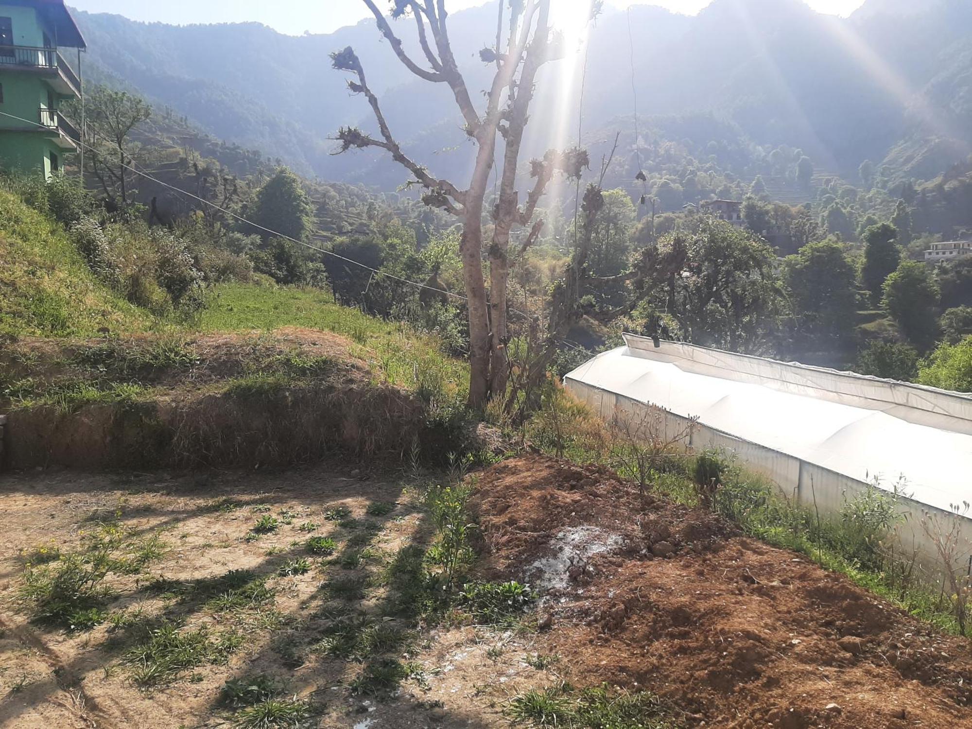 Parvatiya Homestay Mussoorie Buitenkant foto